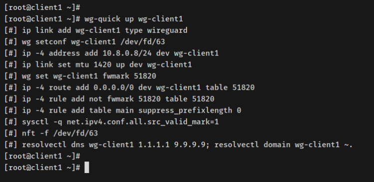 iniciar cliente wireguard