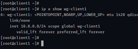 verificar cliente wg