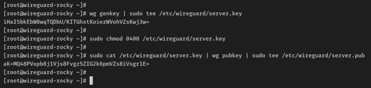 generar par de claves del servidor