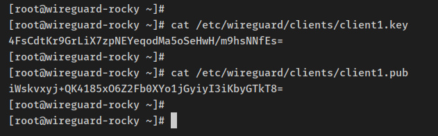 verificar el par de claves del cliente