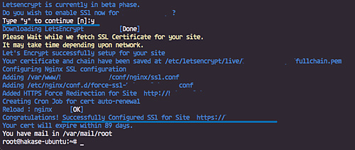 Resultado de la instalación