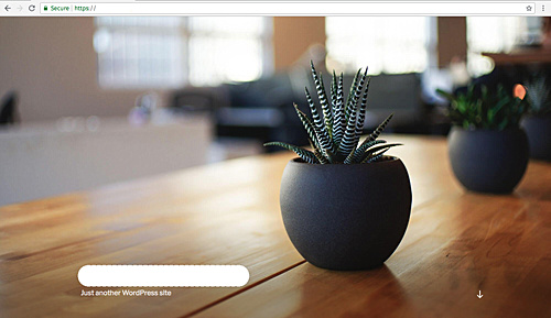 WordPress instalado correctamente