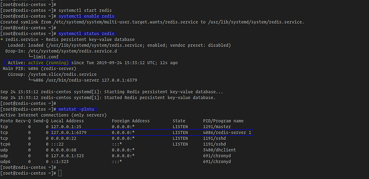 Comprobar el estado de Redis