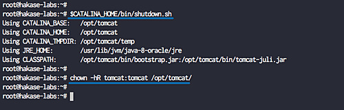 Detener el servidor Tomcat
