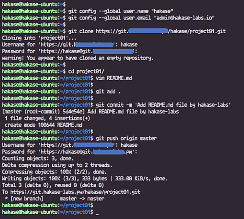 Confirmación de prueba Git