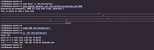 Obtener el archivo DHPARAM