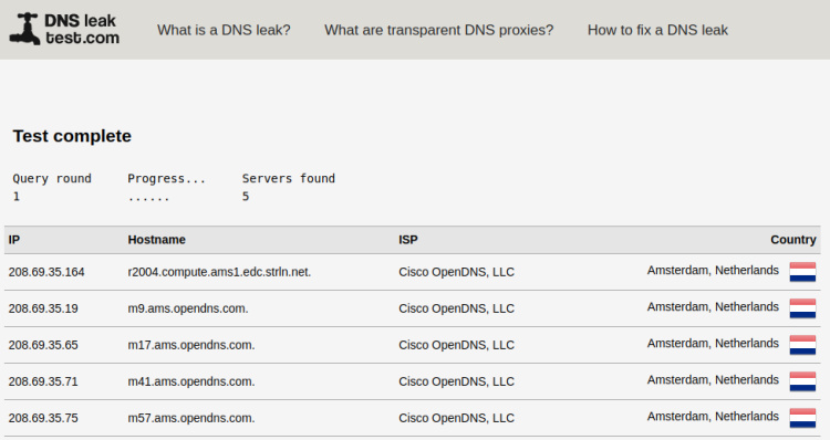 Prueba estándar de fuga DNS