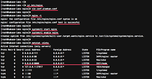 Nginx como proxy inverso