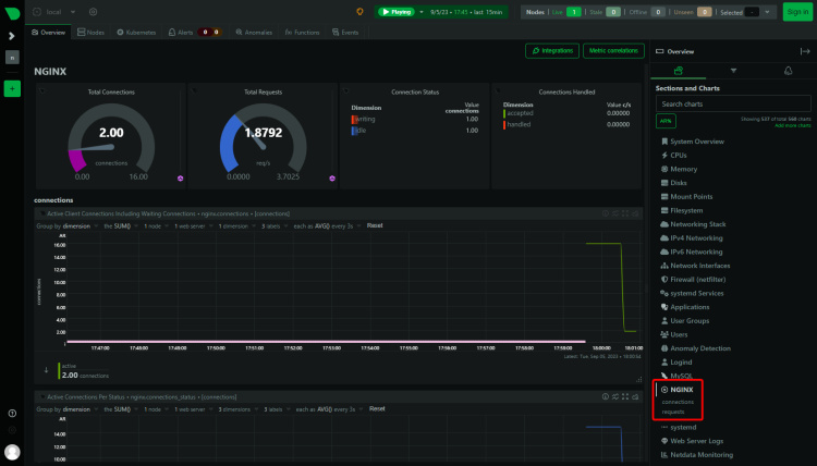 Detalles de la conexión Netdata Nginx