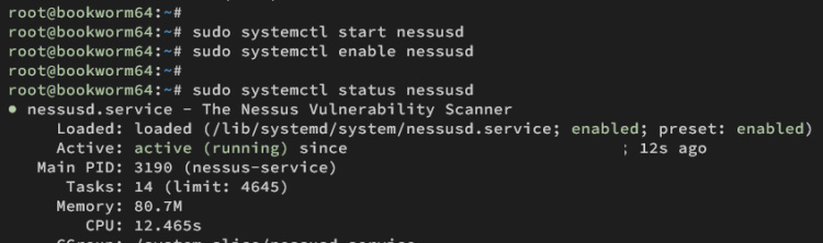 iniciar verificación nessus