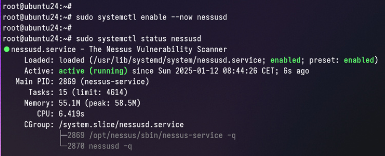 comprobar nessus