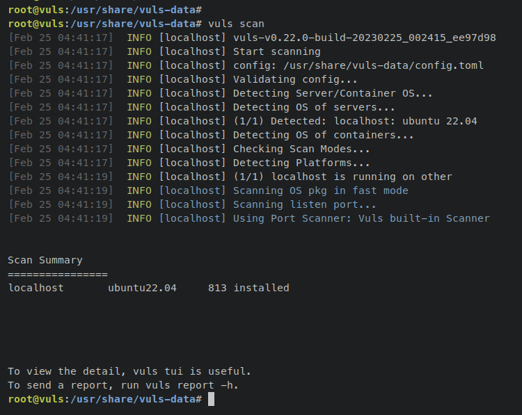 escaneo local de vuls