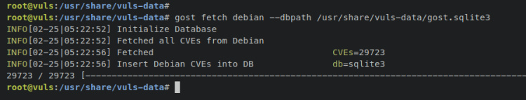 fetch gost debian