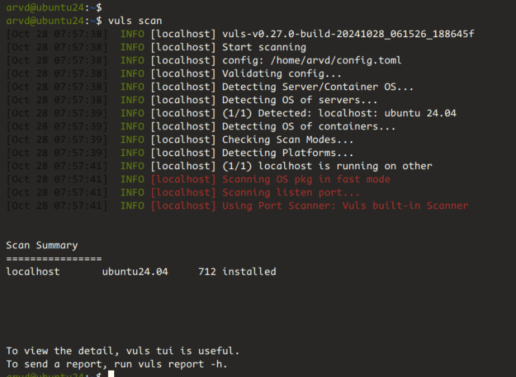 escaneando localhost con vuls