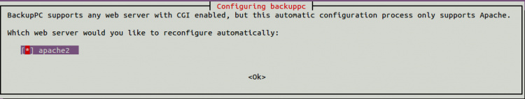 Elige el servidor web