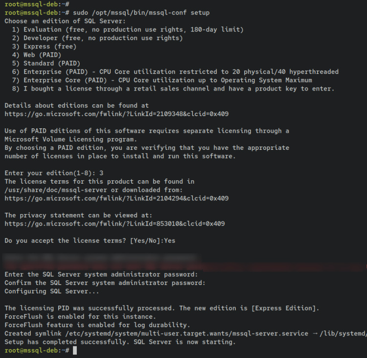 configurar servidor mssql
