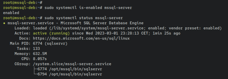 verificar servidor mssql