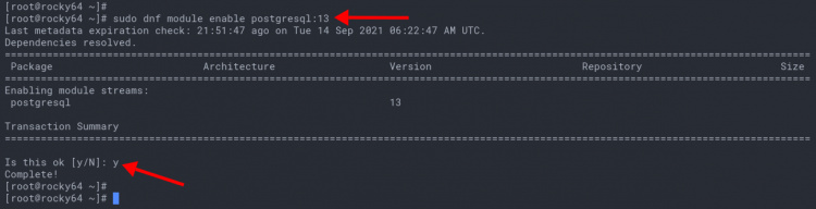 Activar el módulo de repositorio PostgreSQL