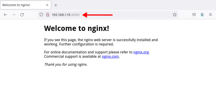 El contenedor web basado en la imagen de Nginx se está ejecutando