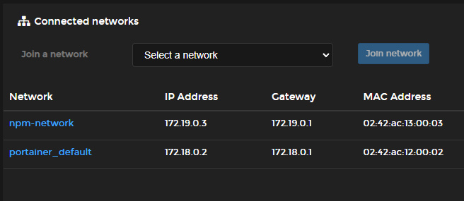 Contenedor conectado a NPM