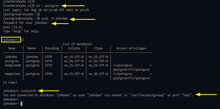 Conéctate al shell de PostgreSQL con el usuario johndoe