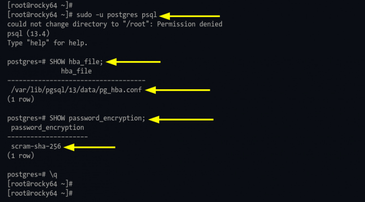 Mostrar la configuración de PostgreSQL y la codificación de la contraseña