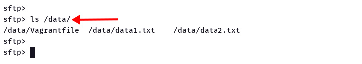 Listado de todos los archivos del servidor sftp