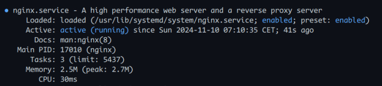 comprobar nginx