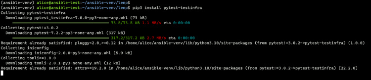 instala el módulo testInfra