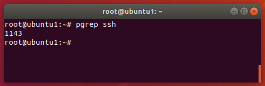 Comando pgrep de Linux