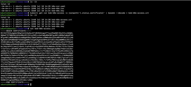 recuperar-el-certificado