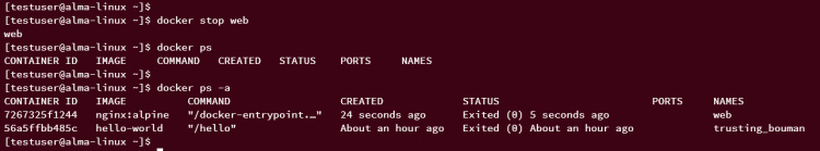 contenedor de parada