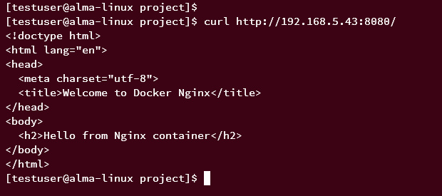 contenedor nginx con índice personalizado