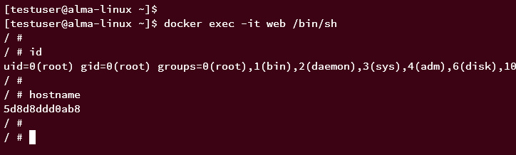 iniciar sesión en el contenedor