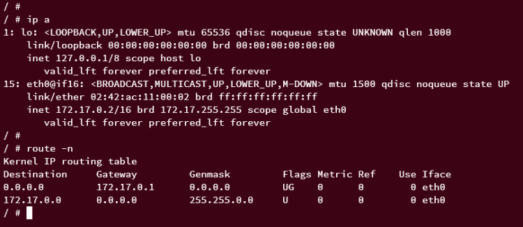 mostrar contenedor ip