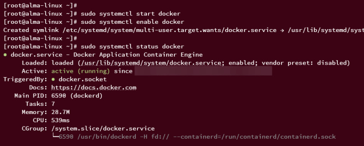 start habilitar y verificar docker