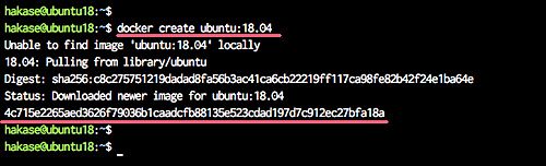 Crear contenedor docker