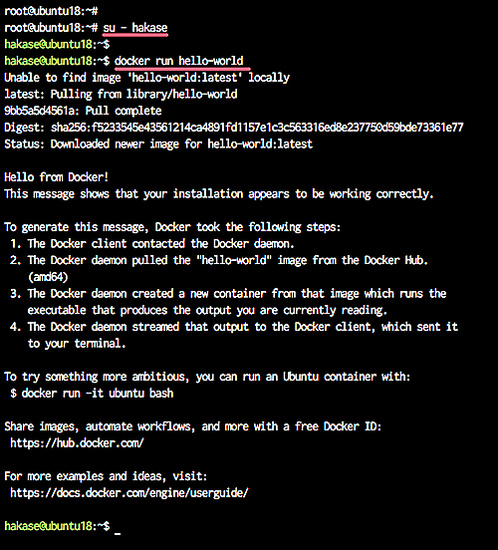 Ejecutar contenedor docker