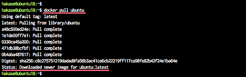 Extraer imagen docker