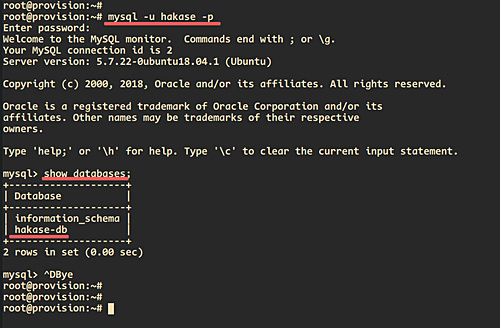 Prueba de la base de datos