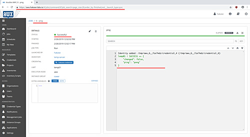 Resultado de la ejecución del script awx