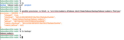 Descargar el archivo desde el host