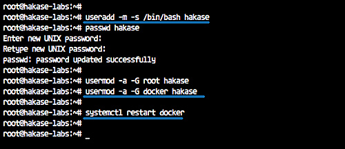 Configurar Docker para un usuario no root