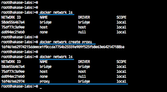 Crear una red Docker personalizada