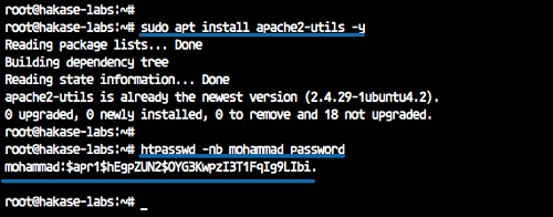 Instalar y configurar Traefik Reverse Proxy