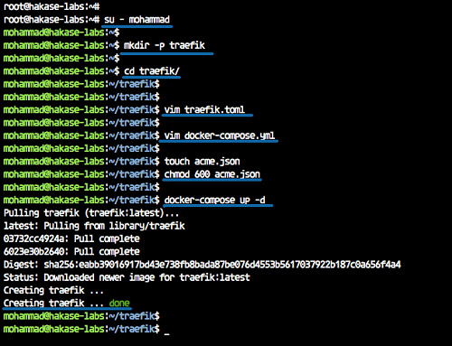 Construir un contenedor Traefik