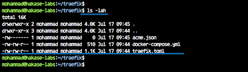 Construye el contenedor con docker compose