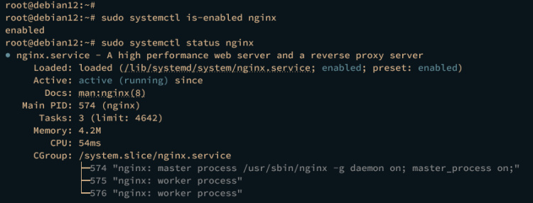 comprobando nginx