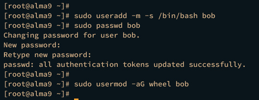 añadir nuevo usuario