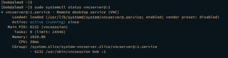 comprobar el servicio del servidor vnc